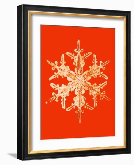 Snowflake-Mehau Kulyk-Framed Photographic Print