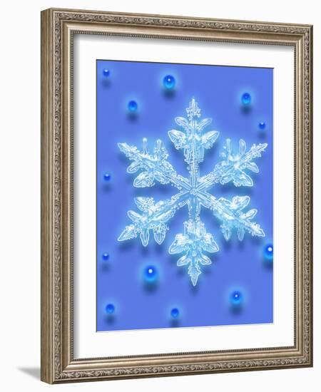 Snowflake-Mehau Kulyk-Framed Photographic Print