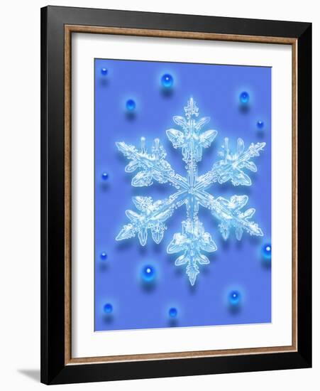 Snowflake-Mehau Kulyk-Framed Photographic Print