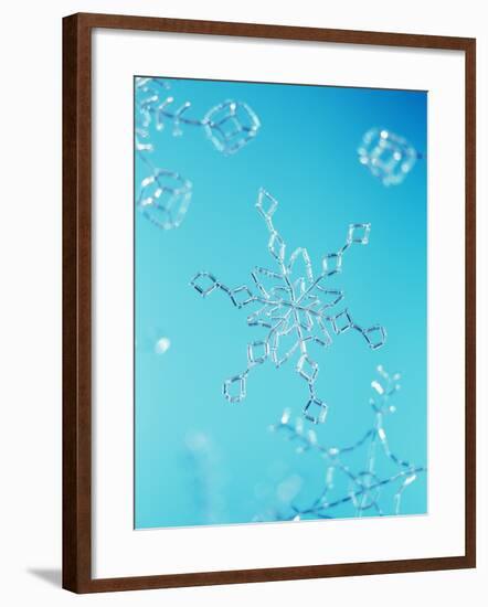 Snowflake-Lawrence Lawry-Framed Photographic Print