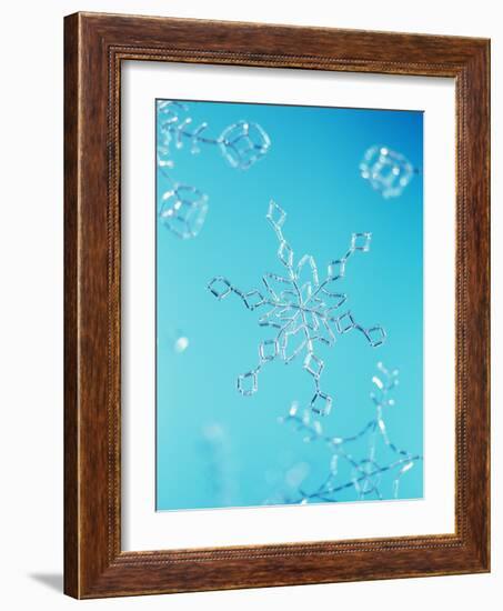 Snowflake-Lawrence Lawry-Framed Photographic Print