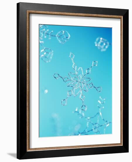 Snowflake-Lawrence Lawry-Framed Photographic Print