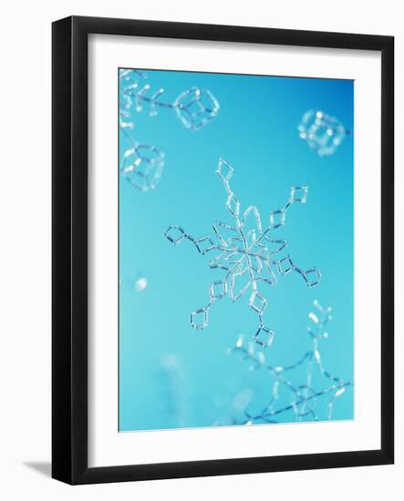 Snowflake-Lawrence Lawry-Framed Photographic Print