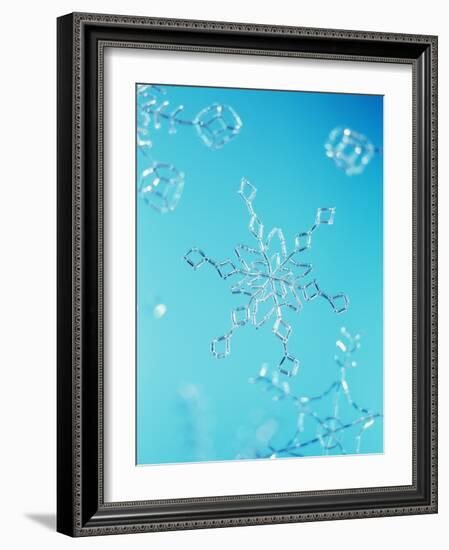 Snowflake-Lawrence Lawry-Framed Photographic Print