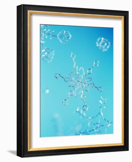 Snowflake-Lawrence Lawry-Framed Photographic Print