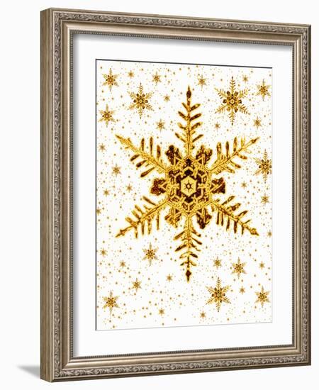 Snowflakes-Mehau Kulyk-Framed Photographic Print