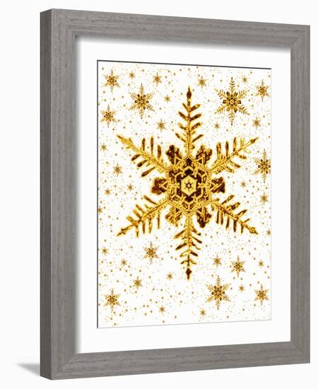 Snowflakes-Mehau Kulyk-Framed Photographic Print