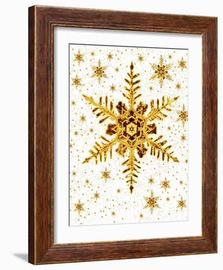 Snowflakes-Mehau Kulyk-Framed Photographic Print