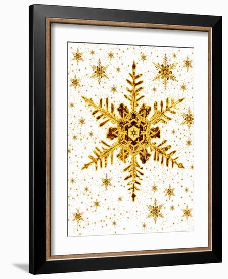 Snowflakes-Mehau Kulyk-Framed Photographic Print