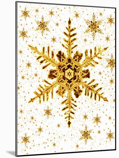 Snowflakes-Mehau Kulyk-Mounted Photographic Print