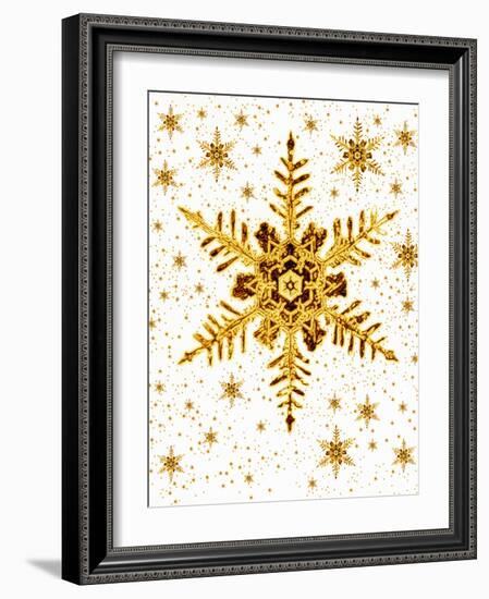 Snowflakes-Mehau Kulyk-Framed Photographic Print