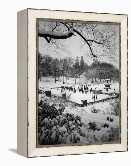 Snowing Evening Central Park, NYC-Walter Bibikow-Framed Premier Image Canvas