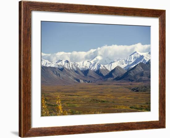 Snowline on Alaska Range, Denali National Park, Alaska, USA-Tony Waltham-Framed Photographic Print