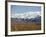 Snowline on Alaska Range, Denali National Park, Alaska, USA-Tony Waltham-Framed Photographic Print