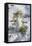 Snowman at Vallombrosa-Guido Cozzi-Framed Premier Image Canvas