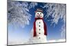 Snowman in Winter Snow-null-Mounted Photographic Print