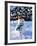 Snowman with Scarf and Hat in Winter Scene-null-Framed Photographic Print