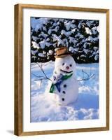 Snowman with Scarf and Hat in Winter Scene-null-Framed Photographic Print