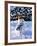 Snowman with Scarf and Hat in Winter Scene-null-Framed Photographic Print