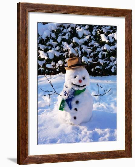 Snowman with Scarf and Hat in Winter Scene-null-Framed Photographic Print