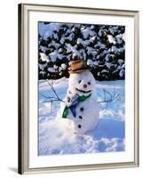 Snowman with Scarf and Hat in Winter Scene-null-Framed Photographic Print