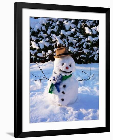 Photographic Print, , large