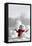 Snowman with Winter Snow Background-Sandralise-Framed Premier Image Canvas