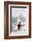 Snowman with Winter Snow Background-Sandralise-Framed Photographic Print