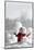 Snowman with Winter Snow Background-Sandralise-Mounted Photographic Print