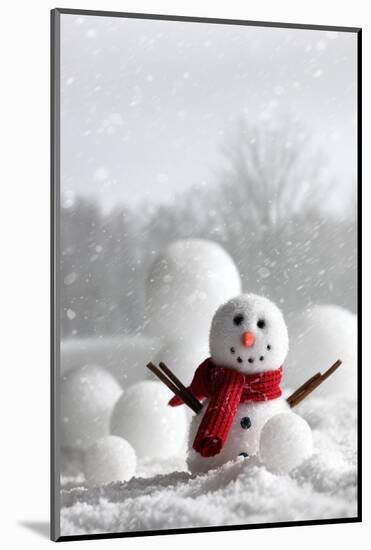 Snowman with Winter Snow Background-Sandralise-Mounted Photographic Print
