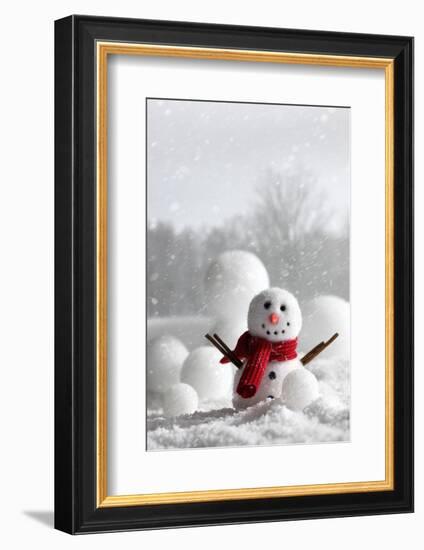 Snowman with Winter Snow Background-Sandralise-Framed Photographic Print