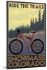 Snowmass, Colorado - Mountain Bike-Lantern Press-Mounted Art Print