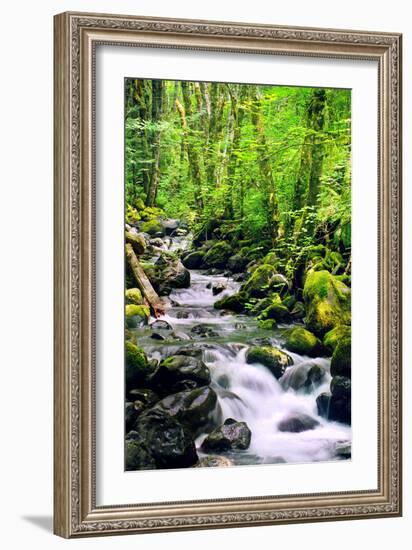 Snowmelt-Douglas Taylor-Framed Photographic Print