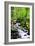 Snowmelt-Douglas Taylor-Framed Photographic Print