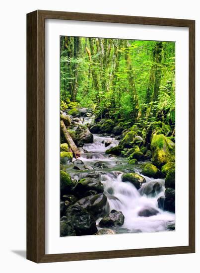 Snowmelt-Douglas Taylor-Framed Photographic Print