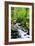 Snowmelt-Douglas Taylor-Framed Photographic Print