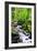 Snowmelt-Douglas Taylor-Framed Photographic Print