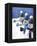 Snowmen in a Row-Gaetano-Framed Premier Image Canvas