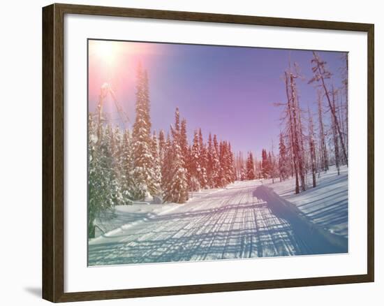 Snowmobile Trail in Labrador Canada-melking-Framed Photographic Print