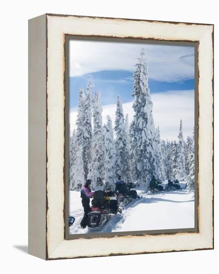 Snowmobilers in a Hoar Frosted Forest on Two Top Mountain, West Yellowstone, Montana, United States-Kimberly Walker-Framed Premier Image Canvas