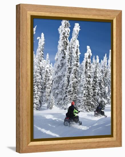 Snowmobilers Riding Through a Forest of Hoar Frosted Trees on Two Top Mountain, West Yellowstone, M-Kimberly Walker-Framed Premier Image Canvas