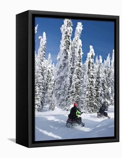 Snowmobilers Riding Through a Forest of Hoar Frosted Trees on Two Top Mountain, West Yellowstone, M-Kimberly Walker-Framed Premier Image Canvas