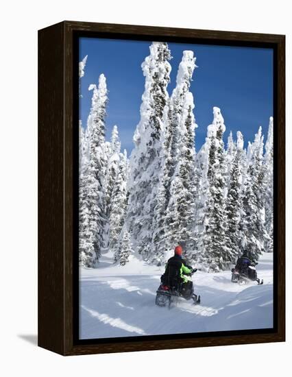 Snowmobilers Riding Through a Forest of Hoar Frosted Trees on Two Top Mountain, West Yellowstone, M-Kimberly Walker-Framed Premier Image Canvas