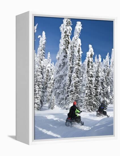 Snowmobilers Riding Through a Forest of Hoar Frosted Trees on Two Top Mountain, West Yellowstone, M-Kimberly Walker-Framed Premier Image Canvas