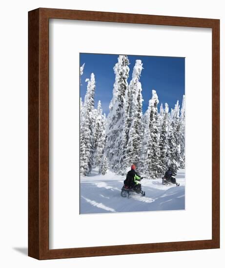 Snowmobilers Riding Through a Forest of Hoar Frosted Trees on Two Top Mountain, West Yellowstone, M-Kimberly Walker-Framed Photographic Print