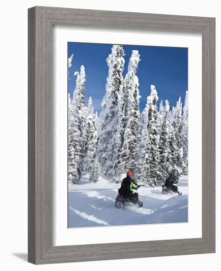 Snowmobilers Riding Through a Forest of Hoar Frosted Trees on Two Top Mountain, West Yellowstone, M-Kimberly Walker-Framed Photographic Print
