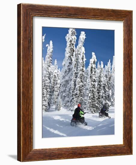 Snowmobilers Riding Through a Forest of Hoar Frosted Trees on Two Top Mountain, West Yellowstone, M-Kimberly Walker-Framed Photographic Print