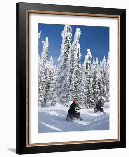 Snowmobilers Riding Through a Forest of Hoar Frosted Trees on Two Top Mountain, West Yellowstone, M-Kimberly Walker-Framed Photographic Print