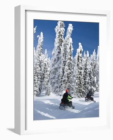 Snowmobilers Riding Through a Forest of Hoar Frosted Trees on Two Top Mountain, West Yellowstone, M-Kimberly Walker-Framed Photographic Print