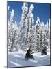 Snowmobilers Riding Through a Forest of Hoar Frosted Trees on Two Top Mountain, West Yellowstone, M-Kimberly Walker-Mounted Photographic Print